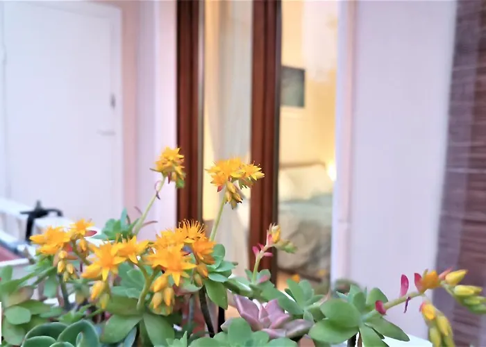 Apartment Casa Kennedy