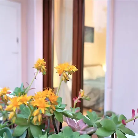Apartamento Casa Kennedy